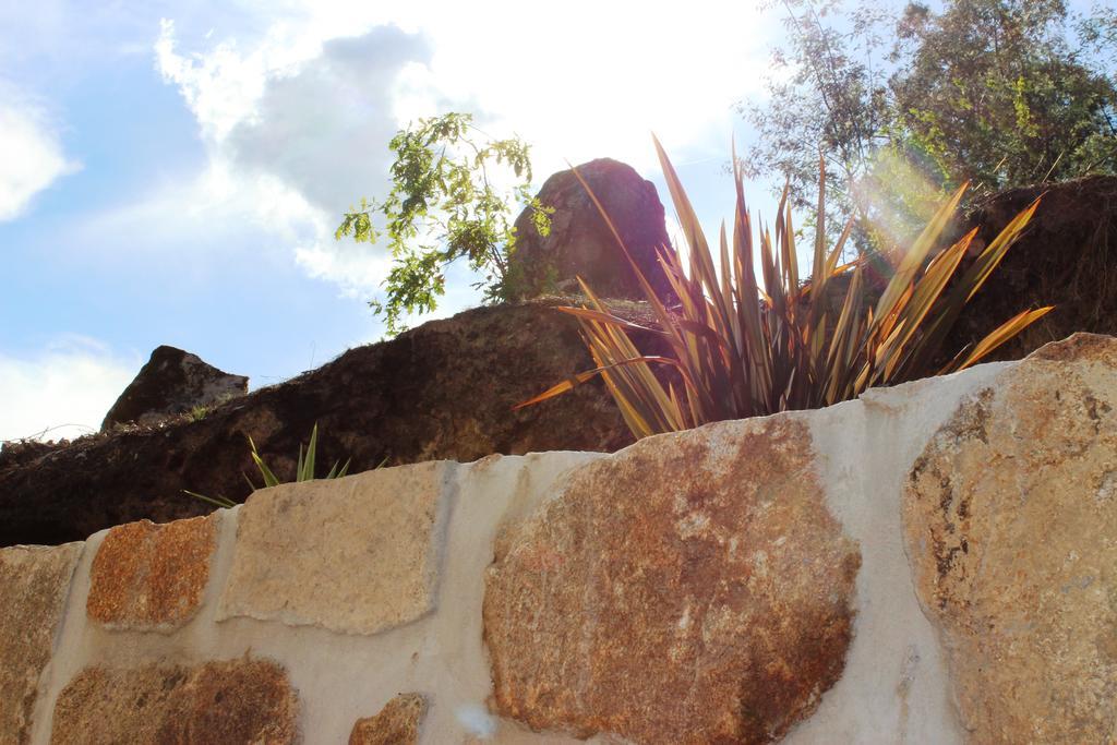 Villa Lugar Do Pego توندلا المظهر الخارجي الصورة