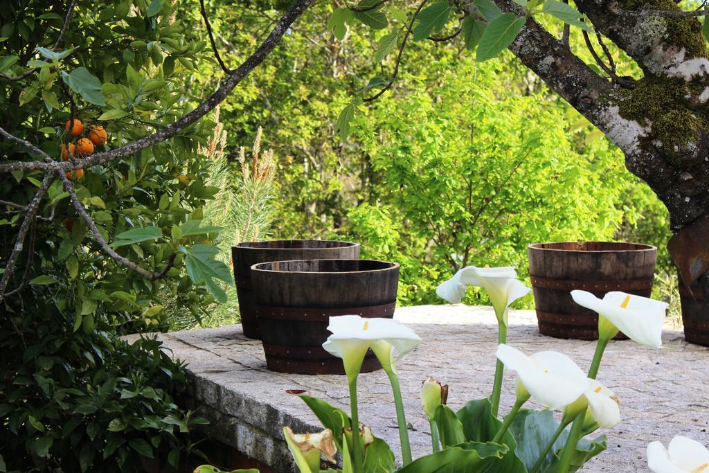 Villa Lugar Do Pego توندلا المظهر الخارجي الصورة